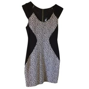 Express Black White Giraffe Animal Print Jacquard Block Sheath Dress Size 6 NWT